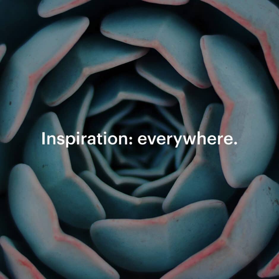Close-up of a blue-green succulent spiral with pink edges, conveying harmony and nature's beauty. Text overlay reads, "Inspiration: everywhere."