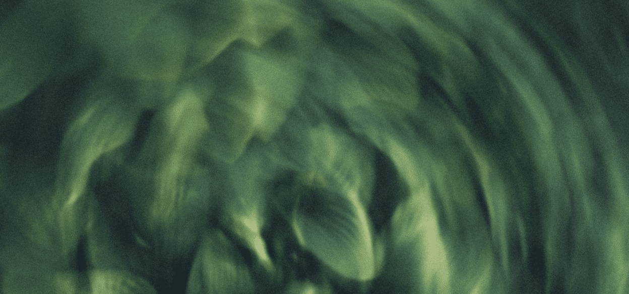 Blurred abstract image of swirling green leaves, creating a dynamic, dizzying effect. Conveys a sense of motion and fluidity.